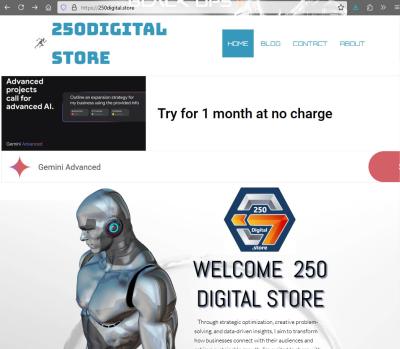 250 Digital Store